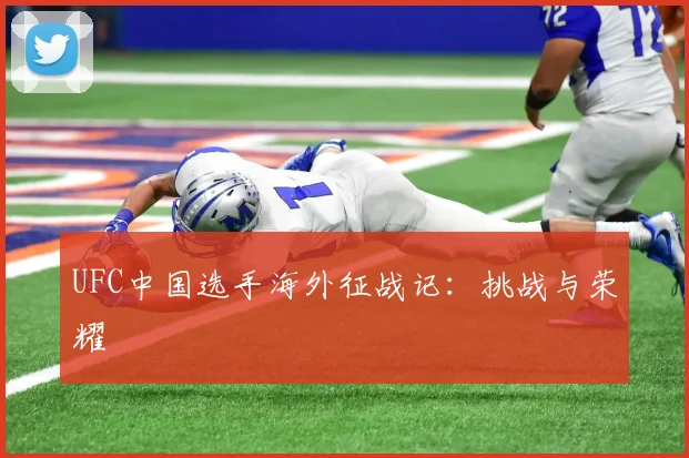 UFC中国选手海外征战记：挑战与荣耀