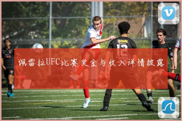 佩雷拉UFC比赛奖金与收入详情披露