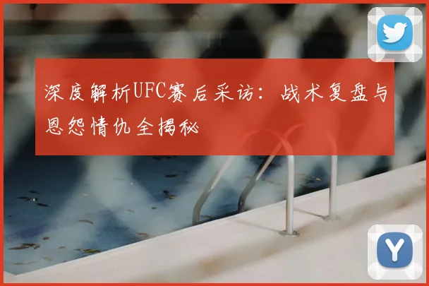 深度解析UFC赛后采访：战术复盘与恩怨情仇全揭秘