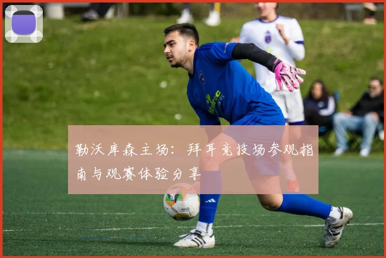 勒沃库森主场：拜耳竞技场参观指南与观赛体验分享